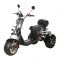 Электроскутер трехколесный CityCoco SkyBoard Trike BR60-3000 PRO FAST